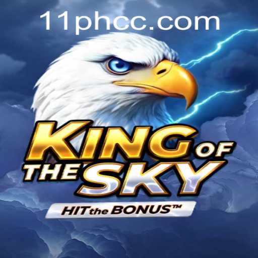 Exploring the Thrilling World of KingOfTheSky: A Detailed Insight